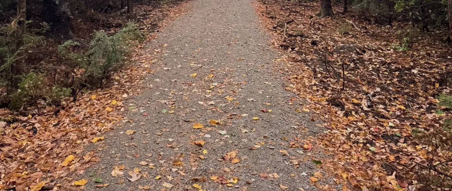 🥾 Top Hikes Under 3 Miles in North Conway, NH